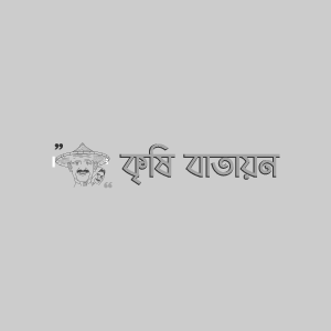 ধুন্দলের ফ্লি বিটল